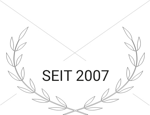 Sprungbrett seit 2007